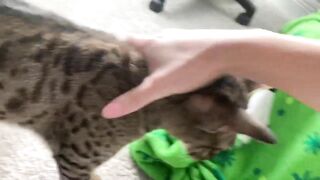 tos test 05