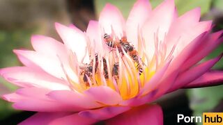 Public_2022/06/18 05:27