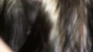 Pregnant Girlfriend gives blowjob