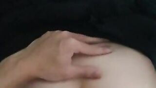 Peegasuss_PH 14