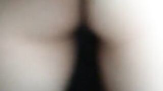 Peegasuss_PH 14