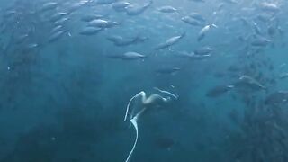 Playing at the Sea