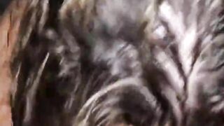 Homemade Latin BJ