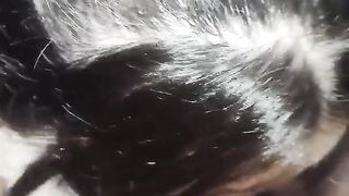 Deep Throat Upside Down - Wellington Ribeiro Fucked the Greedy Throat